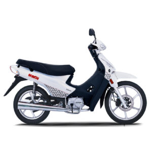 Corven Energy 110cc